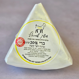 תמונה של גבינה בסגנון ברי