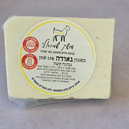 תמונה של גבינה קשה בסגנון גאודה