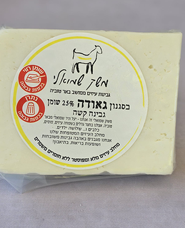 תמונה של גבינה קשה בסגנון גאודה