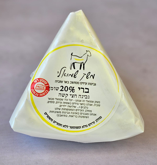 גבינה בסגנון ברי