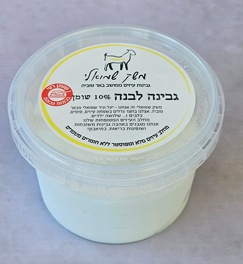 גבינה לבנה